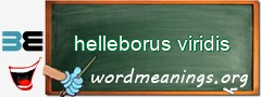 WordMeaning blackboard for helleborus viridis